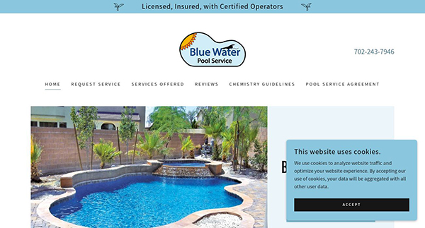 Blue Water Pool Service
