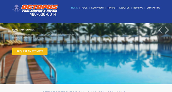 Octopus Pool Service & Repair